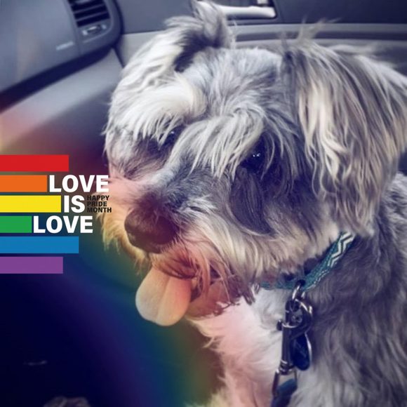 Meet your Posher, Tyler - Picture 1 of 1